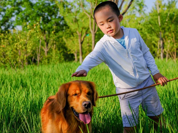 Happy boy and pet dog are playing in the park — Stock fotografie