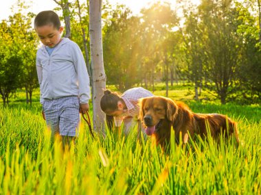 Parkta köpek gezdiren iki mutlu çocuk.