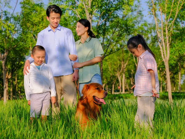 Família feliz de quatro e cão de estimação brincando no parque — Fotografia de Stock