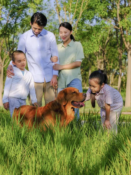 Щаслива сім'я з чотирьох собак і домашніх тварин грають у парку — стокове фото