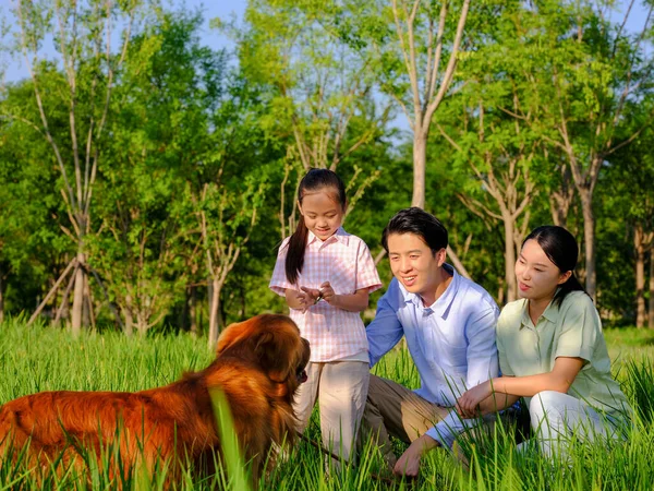 Joyeux famille de trois et chien de compagnie jouant dans le parc — Photo