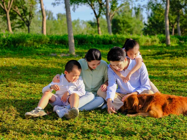 Família feliz de quatro e cão de estimação brincando no parque — Fotografia de Stock