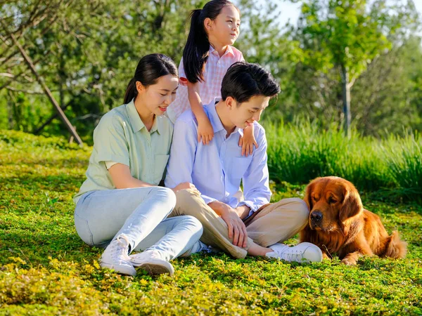 Família feliz de três e cão de estimação brincando no parque — Fotografia de Stock