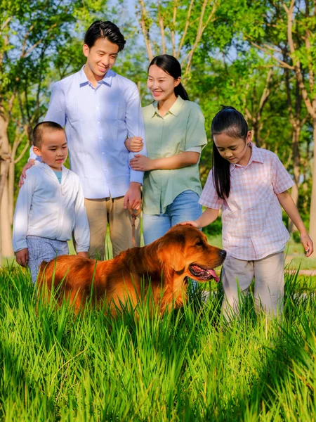 Счастливая семья из четырех человек и собака, играющая в парке — стоковое фото