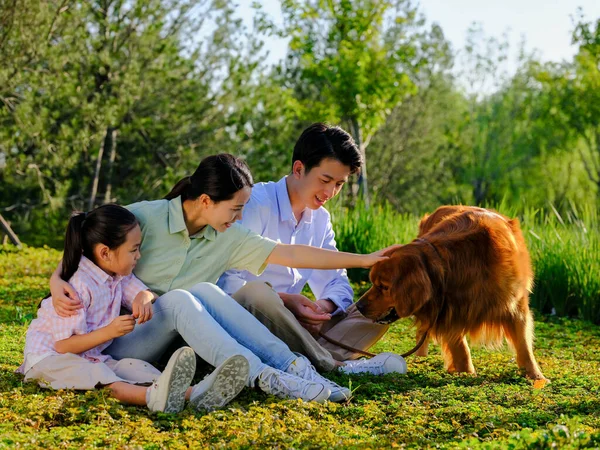 Ευτυχισμένη οικογένεια των τριών και κατοικίδιο ζώο σκυλί παίζει στο πάρκο — Φωτογραφία Αρχείου