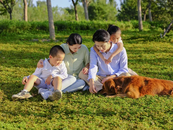 Família feliz de quatro e cão de estimação brincando no parque — Fotografia de Stock