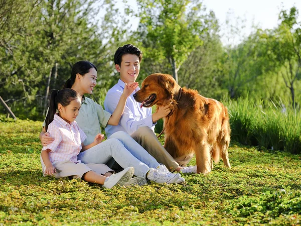 Счастливая семья из трех человек и собака, играющая в парке — стоковое фото