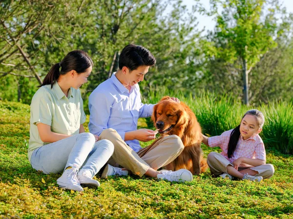 快乐的三口之家和宠物狗在公园玩耍 — 图库照片