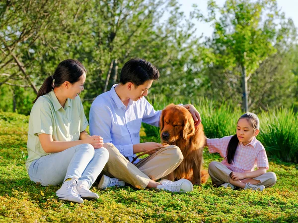 Família feliz de três e cão de estimação brincando no parque — Fotografia de Stock