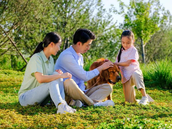 Família feliz de três e cão de estimação brincando no parque — Fotografia de Stock