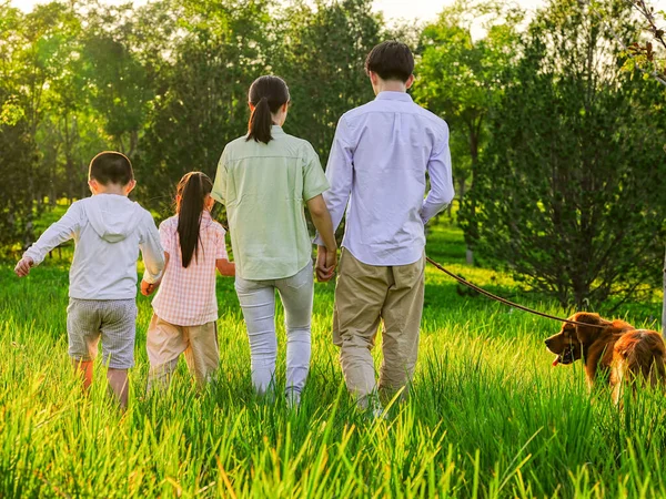 Parkta dört köpekli mutlu bir aile.