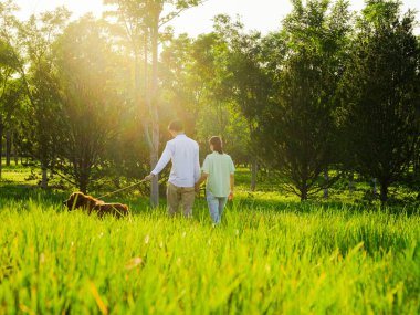 Parkta köpekleri gezdiren genç aşıklar
