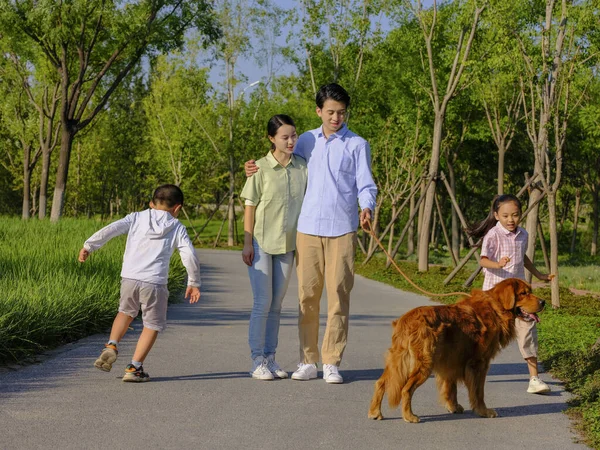 Familia feliz de cuatro perros paseantes en el parque —  Fotos de Stock