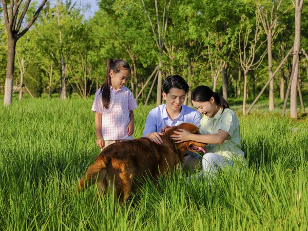 Família feliz de três e cão de estimação brincando no parque — Fotografia de Stock