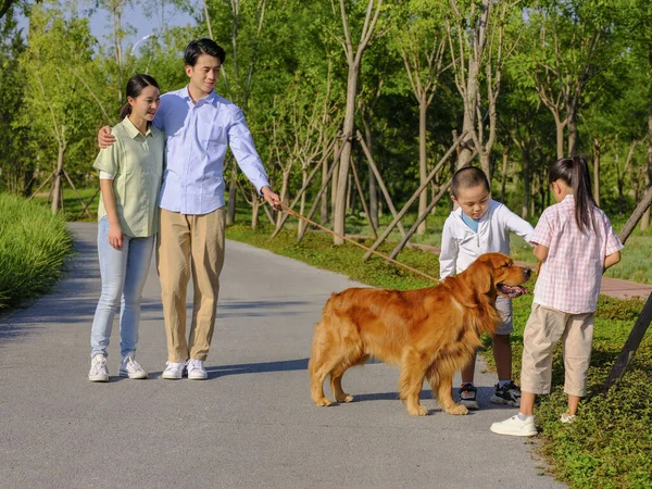 公园里有四只走狗的快乐家庭 — 图库照片