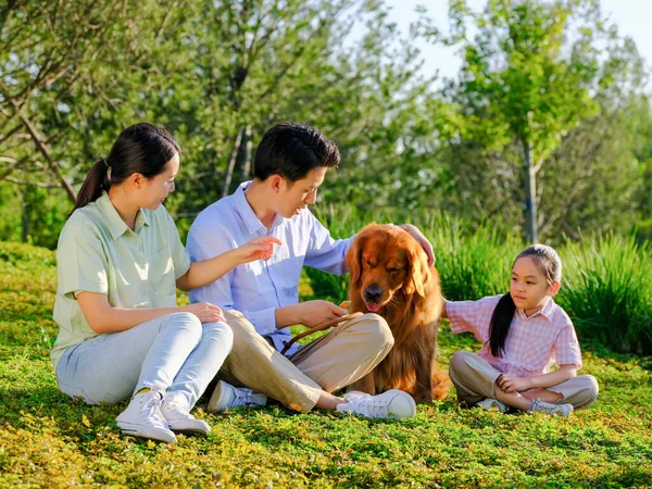 Famiglia felice di tre e cane da compagnia che gioca nel parco — Foto Stock