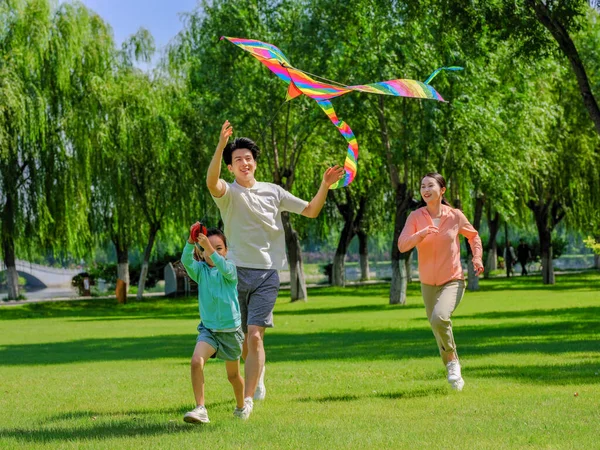 Família feliz de três pipas voadoras no parque — Fotografia de Stock