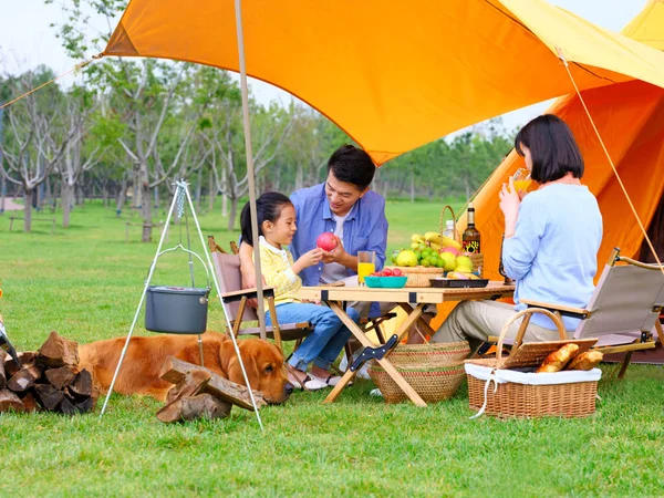 Üç kişilik mutlu bir aile ve köpek kampı. — Stok fotoğraf