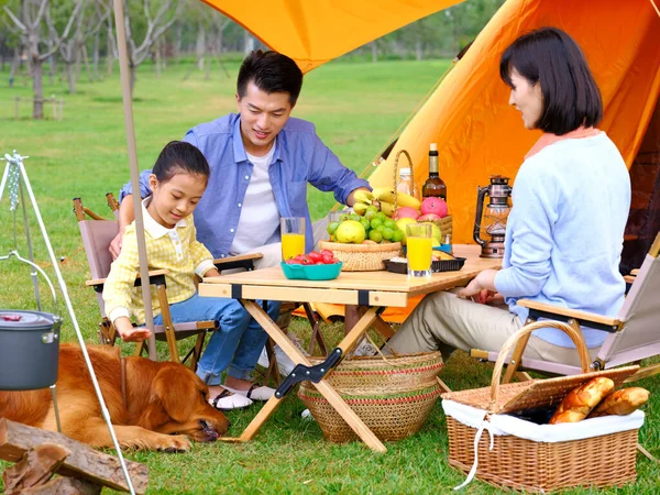 Felice famiglia di tre e cane campeggio fuori — Foto Stock