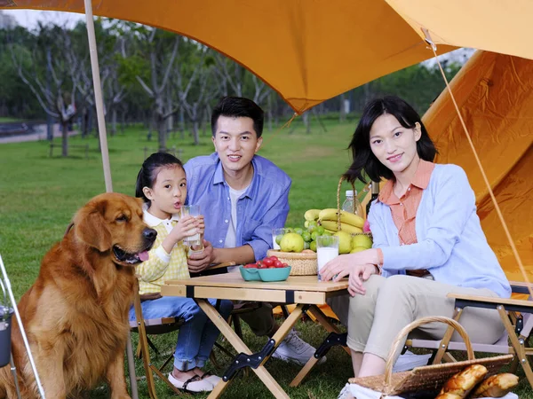 Felice famiglia di tre e cane campeggio fuori — Foto Stock