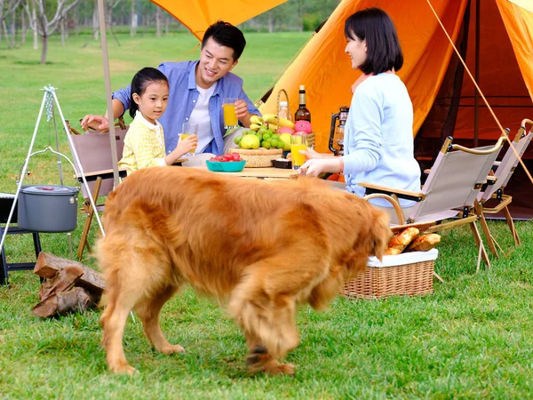 Üç kişilik mutlu bir aile ve köpek kampı. — Stok fotoğraf