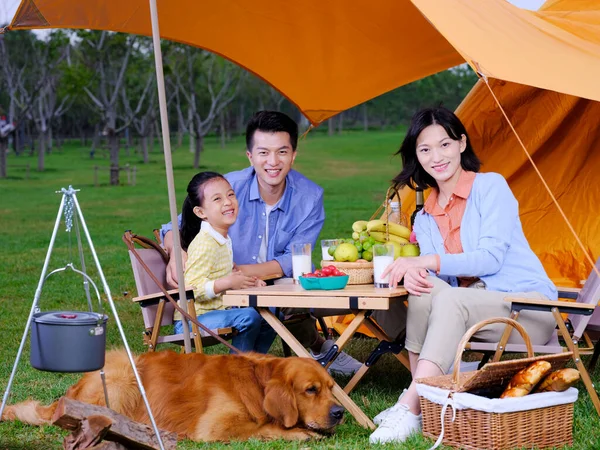 Счастливая семья из трех человек и собачий кемпинг — стоковое фото