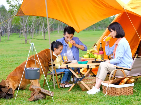 Glückliche dreiköpfige Familie und Hund campen draußen — Stockfoto