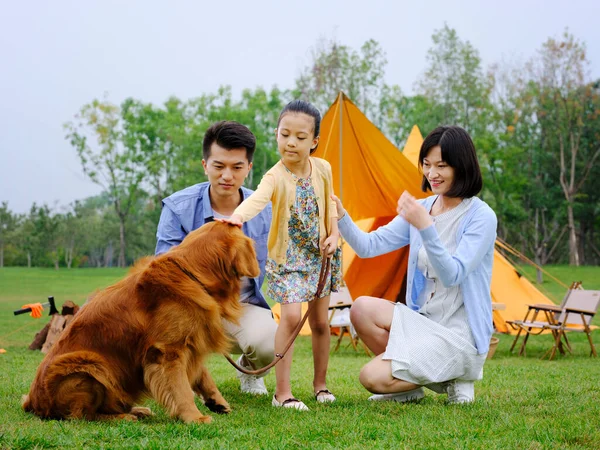 Щаслива сім'я з трьох собак і кемпінг — стокове фото