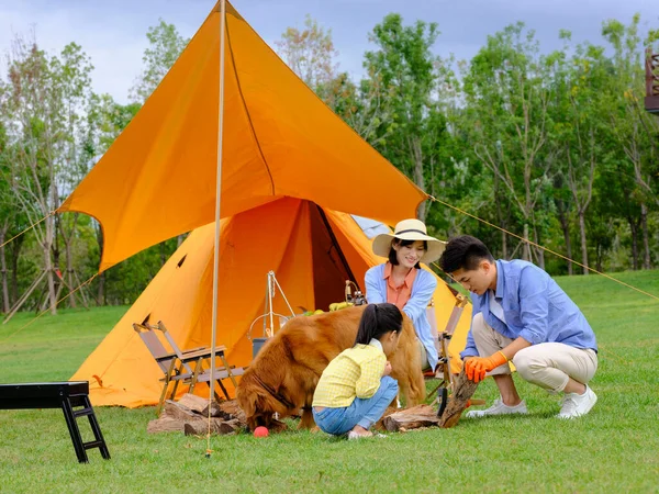 Üç kişilik mutlu bir aile ve köpek kampı. — Stok fotoğraf