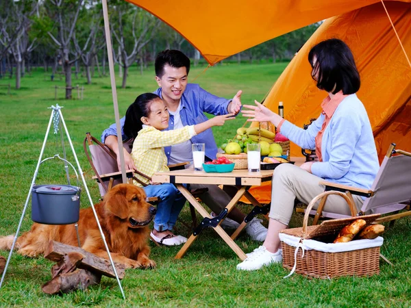 Felice famiglia di tre e cane campeggio fuori — Foto Stock