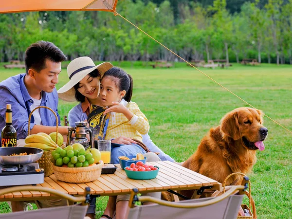 Счастливая семья из трех человек и собака, читающая на улице — стоковое фото