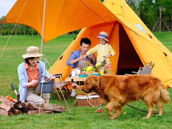 Famiglia felice di tre e pet dog cucina all'aperto — Foto Stock