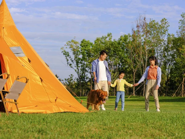 Egy boldog család három sétáló kutyával a parkban — Stock Fotó