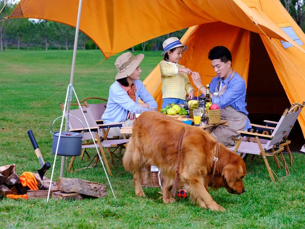 Família feliz de três e cão de estimação cozinhar ao ar livre — Fotografia de Stock