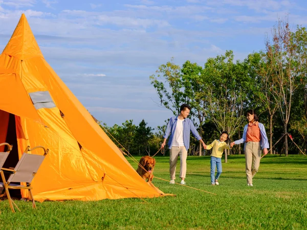 Una familia feliz de tres perros paseantes en el parque —  Fotos de Stock