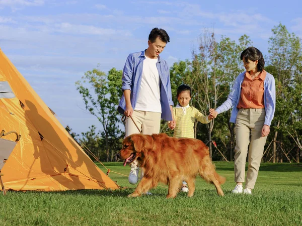 公园里有一个快乐的家庭，有三只走狗 — 图库照片