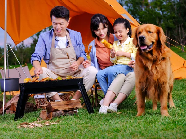 Felice famiglia di tre e pet dog barbecue nel parco — Foto Stock