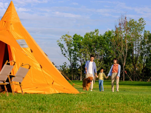 Egy boldog család három sétáló kutyával a parkban — Stock Fotó