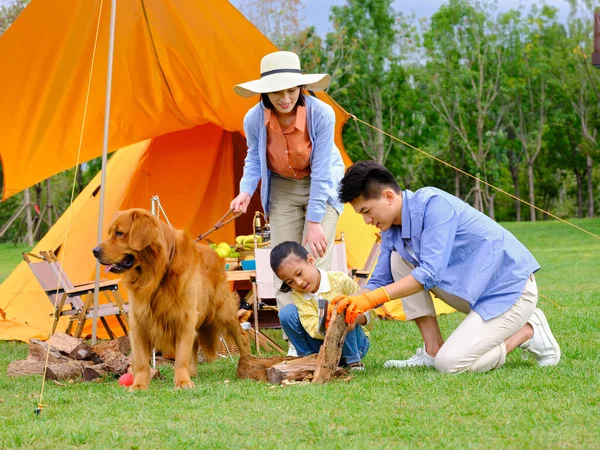 Šťastná trojčlenná rodina a pes táboří venku Stock Obrázky