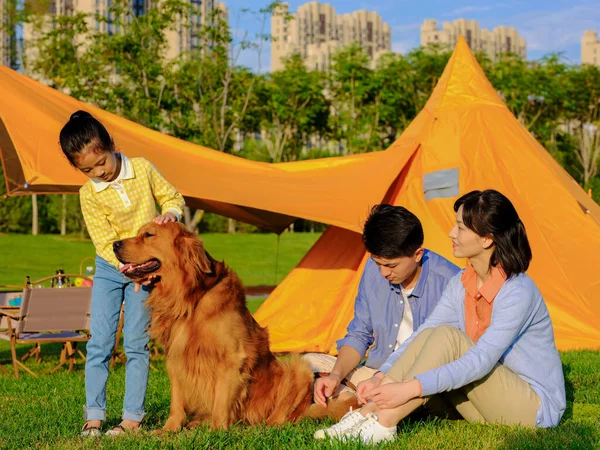 Šťastná rodina tří a zvířecího psa v parku — Stock fotografie
