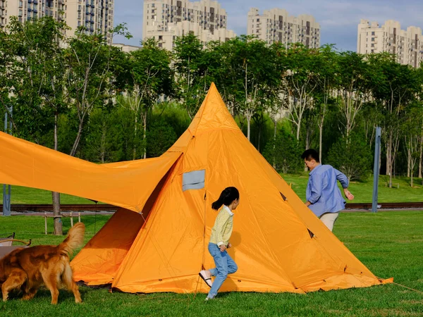 Glücklicher Vater und Tochter spielen mit Hund im Park — Stockfoto