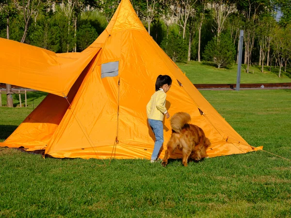 Bonne petite fille et chien de compagnie jouent dans le parc — Photo