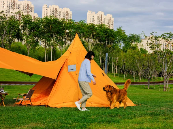 Jóvenes bellezas están jugando con perros de compañía en el parque —  Fotos de Stock