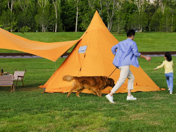 Feliz pai e filha estão brincando com seu cão de estimação no parque — Fotografia de Stock