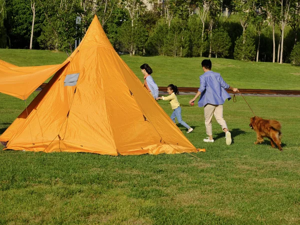 Famiglia felice di tre e cane da compagnia che gioca nel parco — Foto Stock