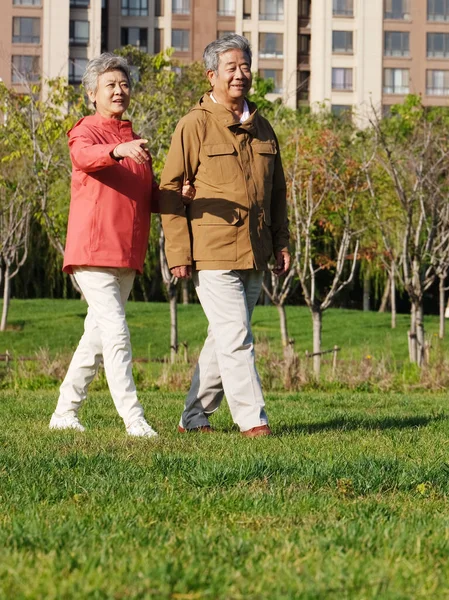 Un cuplu bătrân fericit mergând în parc — Fotografie, imagine de stoc