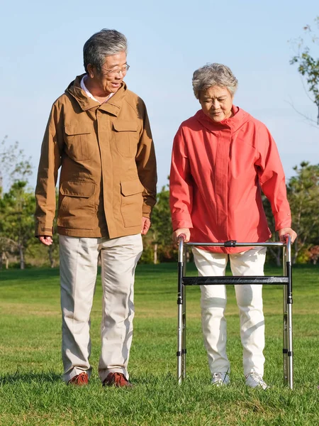 Felice vecchia coppia a piedi nel parco — Foto Stock