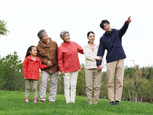 Famiglia felice di cinque persone che guardano il paesaggio nel parco — Foto Stock