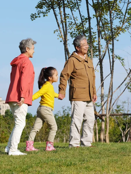 Avós e netos felizes andando no parque — Fotografia de Stock