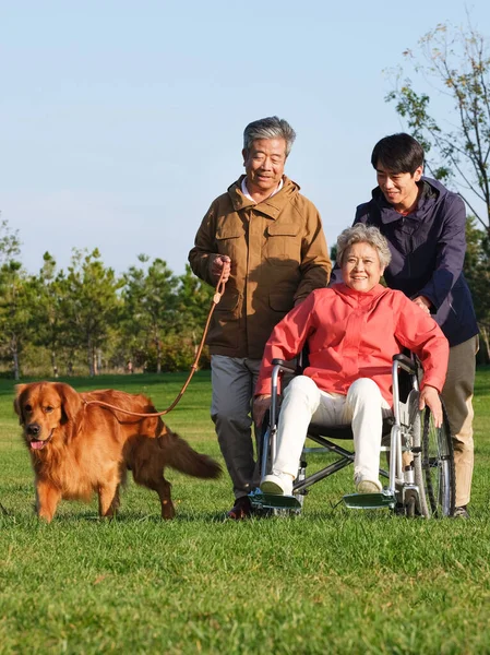 O familie fericită de trei și un câine de companie care se plimbă în parc — Fotografie, imagine de stoc